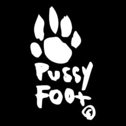 Label Focus – Pussyfoot Records