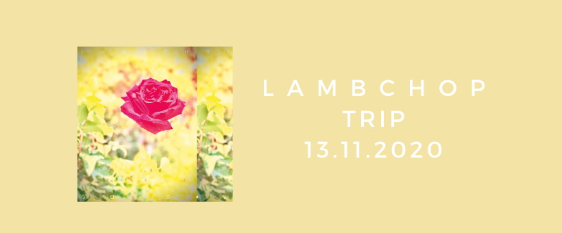 NEW RELEASE: LAMBCHOP / TRIP