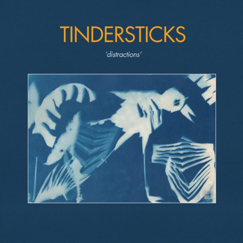 RECORD OF THE WEEK//Tindersticks – Distractions